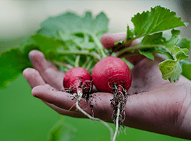 台東月子餐試吃