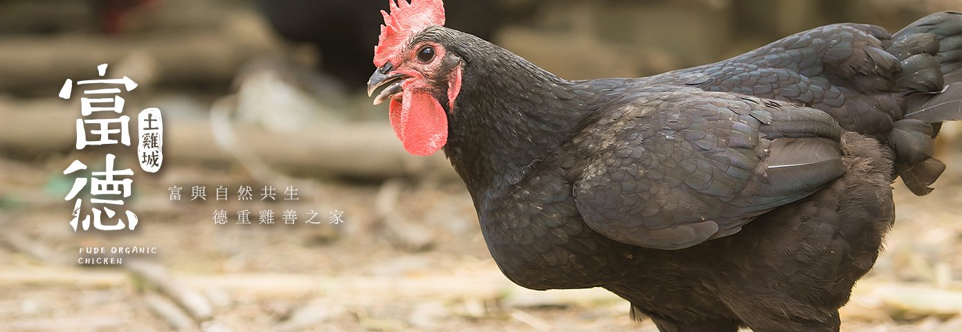 雞湯推薦 富德土雞
