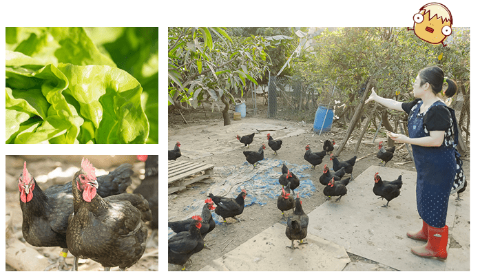 產後營養 產後食譜